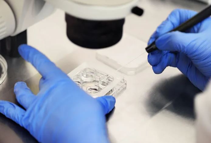 Best Doctor for ICSI in Vashi