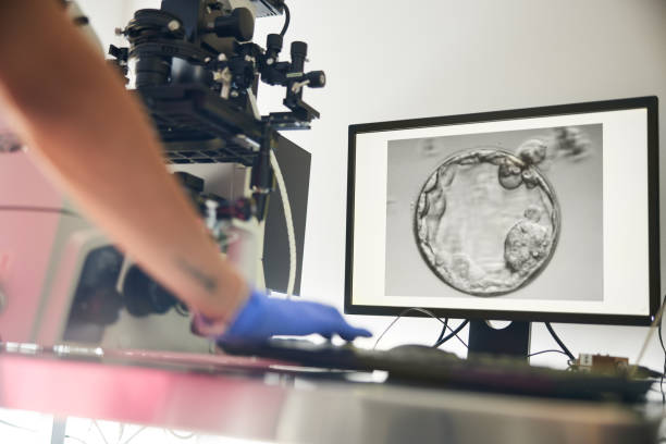 best ivf and fertility specialist in vashi